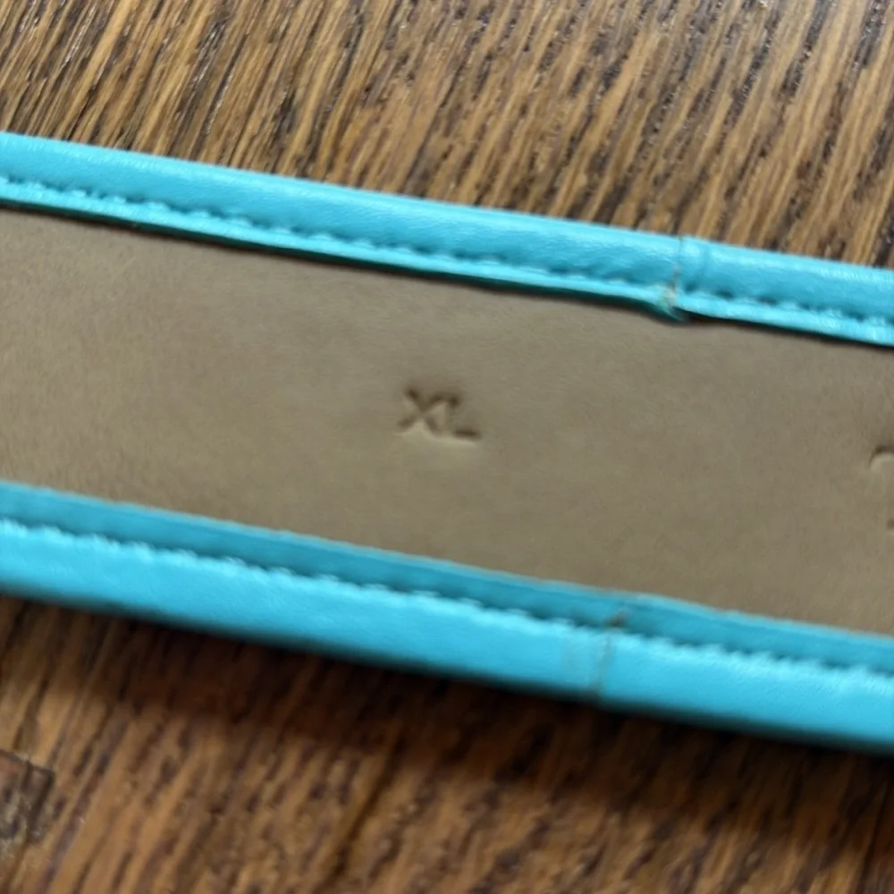 Talbots sz XL red and turquoise leather and linen blend belt with gold buckle